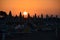 Bibione Beach at morning, sunrise, ocean, Italy