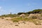 Bibione Lighthouse in Italy