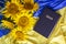 Bible Holy Writ and sunflowers on background of flag Ukraine