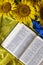 Bible Holy Writ and sunflowers on background of flag Ukraine