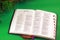 Bible Indonesian Language Alkitab Open Version on the wood Green Background