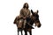 Biblical account of Jesus Christ riding a donkey. This event is commonly known as Triumphal Entry in Jerusalem or Palm Sunday