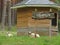 Biblioteca. Library and sheep in grass