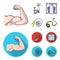 Biceps, exercise bike, scales for weighing, skalka. Fitnes set collection icons in cartoon,flat style vector symbol