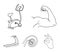 Biceps, exercise bike, skipping rope, treadmill, Fitness set collection icons in outline style vector symbol stock