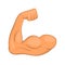 Biceps hands icon, cartoon style