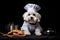 Bichon Frise Dog Dressed As A Chef On Black Background