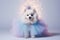 Bichon Frise Dog Dressed As A Fairy On White Background