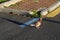 Bicolored Brown & White Pigeon on a Parking Lot in Madeira