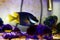 Bicolored foxface rabbitfish - Siganus uspi