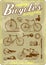 Bicycle and accessories vintage vector illustration collection in retro old poster style