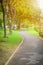 Bicycle asphalt path in the park