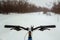 A bicycle on the background of a snowy road. Winter extreme adventures and travel. Winter extreme adventures and travel.