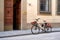 Bicycle with basket and brown leather bag or pannier parked on the old street in Italy