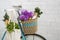 Bicycle basket full of purple flowers and fresh vegetables outdoor