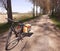 A bicycle with big panniers at a road with trees in the dutch countryside in springtime