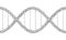 Bicycle chain with spokes twisted like a DNA spiral. Editable outlines. Replicable vector illustration