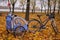 Bicycle with childrens bike trailer in the autumn