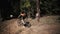 Bicycle freeride race in forest, two girls athletes fast rides by