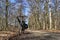 Bicycle on a gravel forest path on a bike tour through a sunlit forest with leafless trees