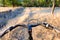 Bicycle handlebar on off-road and dry autumn grass