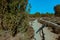 Bicycle handlebars in front of heath landscape with juniper bushes in northern Germany, concept photo for bicycle tour