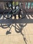 Bicycle and its shadow, as it leans against bike holder in Chicago Loop during summer