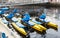 Bicycle Kayaks floating on the water in Tampa Florida