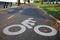 Bicycle lane in the autumn Brooklyn park