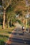 Bicycle lane in the autumn Brooklyn park