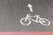 A Bicycle Lane Sign painted on the road