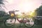 Bicycle on the lawn by the sunny pool and green trees in the outdoor park for the background