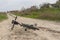 Bicycle lying on a bad macadam country road