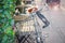 Bicycle with metallic basket and sunny morning. Green leaves and sun glare. The best weather