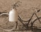 Bicycle milkman with the old bin cans and sepia effect