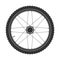 Bicycle mtb wheel symbol,vector. Bike rubber, mountain tyre with valve. Fitness cycle,mountainbike.