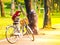 Bicycle in Park, Summer, Holiday,  Spring, lifestyle background