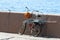 Bicycle parked on a granite embankment