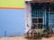 A bicycle parked outside the grungy blue wooden window grills of a colorful house in
