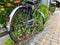 A bicycle parked on the side of a flower garden.