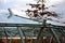 Bicycle parking shelter with glass roof with dotted print. Construction from bent gray tubes into an arc. tempered laminated glass