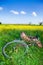 Bicycle partially hidden by tall grass