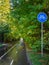 Bicycle path in the autumn Park. White markings on the asphalt for bicyclists.