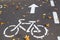 A bicycle path with a bicycle road sign and markings drawn on the asphalt. The autumn track in the park is strewn with dry yellow