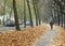 Bicycle path in Brussels