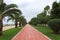 Bicycle path between green palm trees in Batumi seaside Park.