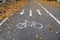 Bicycle path marked on asphalt pavement with dotted line in middle and two arrows in opposite directions strewn with autumn