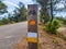 Bicycle path through the park, the sign on a wooden landmark nailed to the ground with forest background and people with backs to