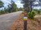 Bicycle path through the park, the sign on a wooden landmark nailed to the ground with forest background and people with backs to