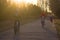 Bicycle path, people ride their whole family on bicycles, a sporty and healthy lifestyle and the setting sun
